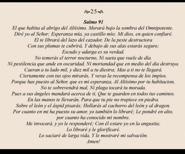 SALMO 91 - A ORAÇÃO MAIS PODEROSA DA BÍBLIA 🙏🏼 