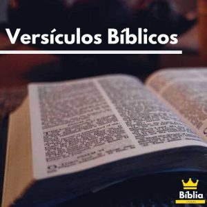 versículos-bíblicos
