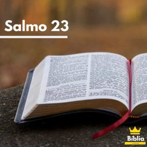 salmo-23
