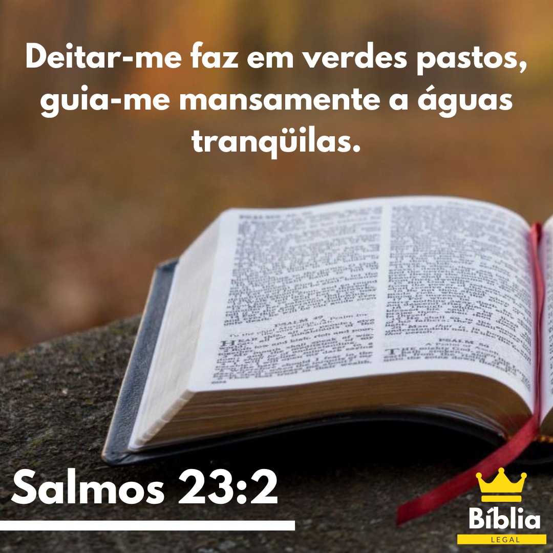 Salmos 23:1 - NTLH - Nova Tradução na Linguagem de Hoje