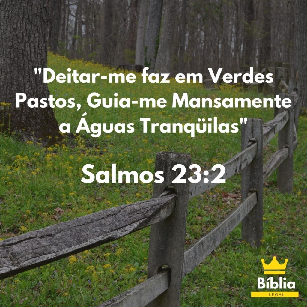 Salmo Capitulo 23 Versículo 2